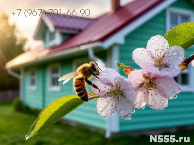Перекрываем кровлю, обшиваем дома в Колышлейском районе